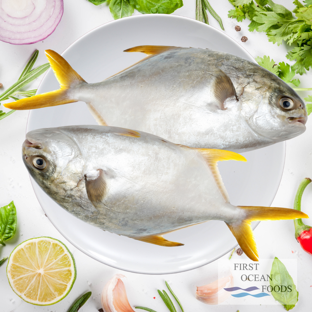 Frozen Golden Pomfret (6-7PC) - 2KG