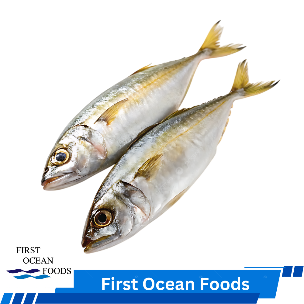 Frozen Kembong Fish - 1kg