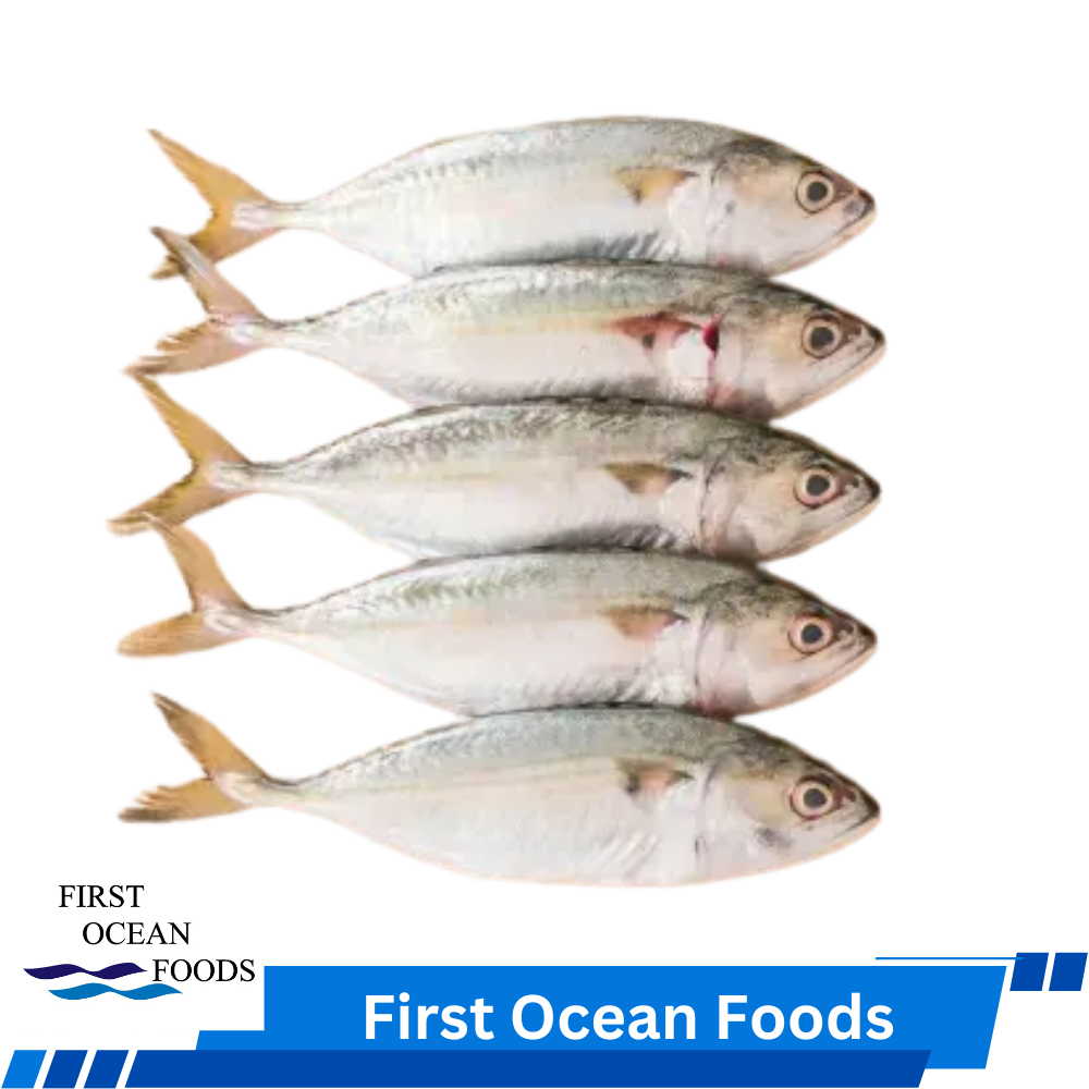 Frozen Kembong Fish - 1kg