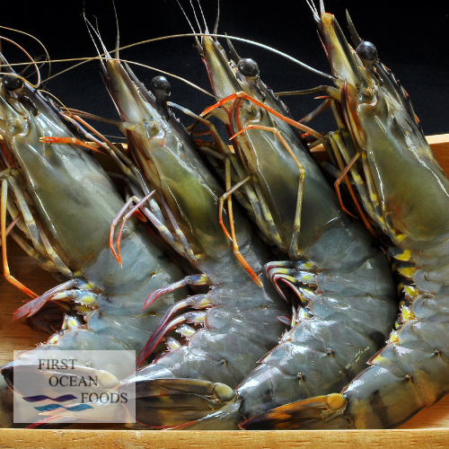 Black Tiger Prawn Hoso Large 1KG - (30% OFF SAVE $8.67)