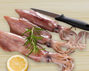 Frozen Wild Caught Squid (Medium) - 240g