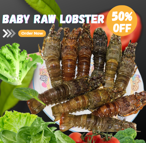 Frozen Raw Baby Lobster 50-80G - 1KG (50% OFF)