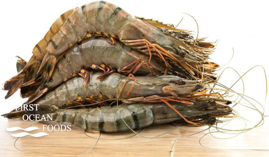 Black Tiger Prawn Hoso (Large) - 1KG