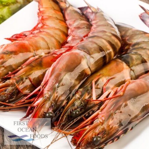 Black Tiger Prawn Hoso 8/10- 1KG