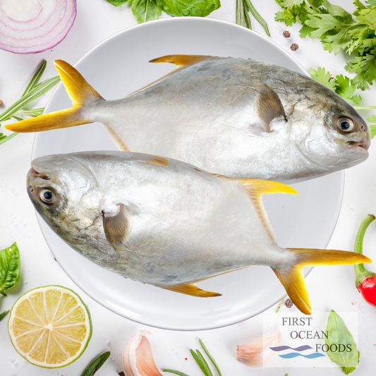 Frozen Golden Pomfret (6-7PC) - 2KG