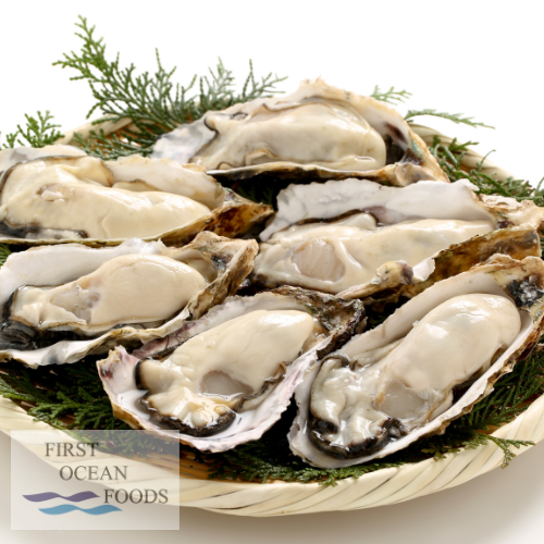 Frozen Oysters Meat (without shell) - 1KG