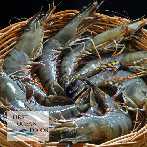 Black Tiger Prawn Hoso 8/10- 1KG (U.P. $24.80 NOW ONLY $22 SAVE $2.80)