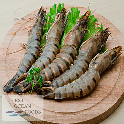 Black Tiger Prawn Hoso (Medium) -1KG