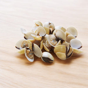 Frozen White Clam - 1kg