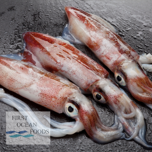 Frozen Wild Caught Squid (Medium) - 240g